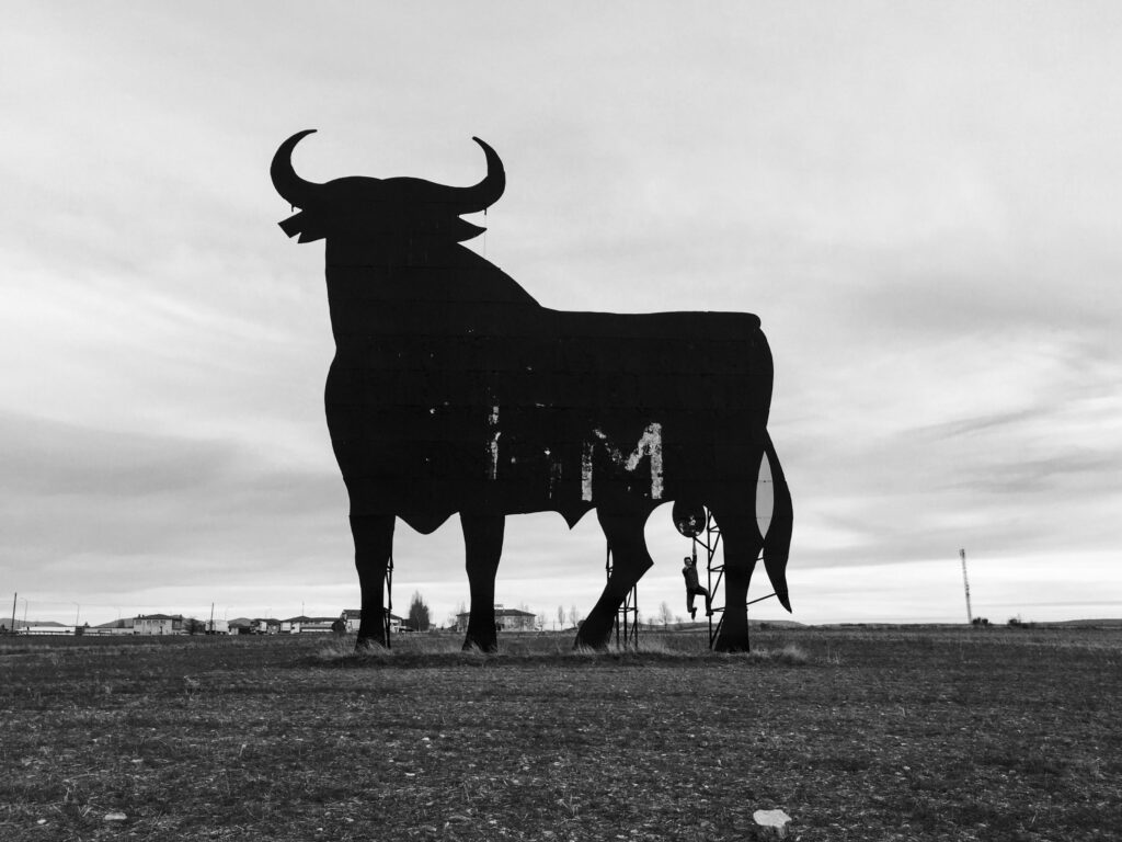 marché Bull definition
